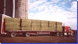 Hay by the semi-load